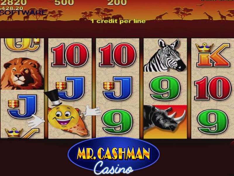 Free cashman games